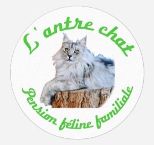 L'Antre Chat, pension féline familiale L'Antre Chat, pension féline familiale